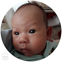 孩子肚子胀气，母乳喂养的宝妈不能吃豆制品，以及豆类，红薯，土豆…是吗