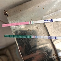 5月15日排卵强阳，当天坚持检测几次，凌晨测试排卵时转为弱阳，12号晚上和15日早晨都安排了，之后16号、...