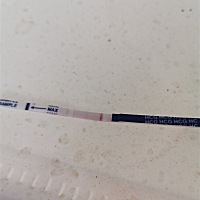 11号排卵，19号早上测出，是吧亲们，