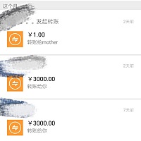 婆婆每次发工资，都会给我发工资，平常吃饭会把最好吃的留给我，水果也会削皮切块再喂我吃，衣服也...