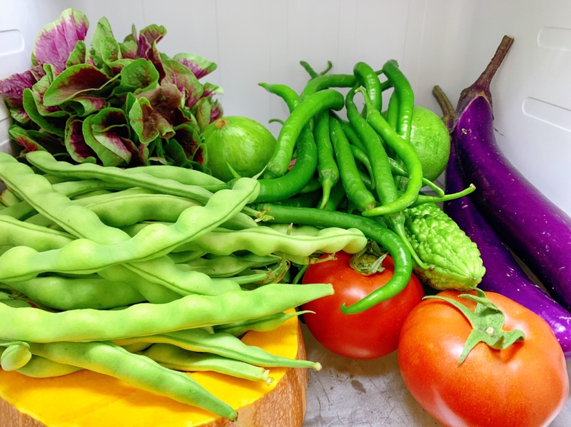 多吃蔬菜有营养！