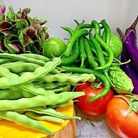 吃素加补血一起，早睡早起，锻炼身体，看书学习，修身养性。 多吃蔬菜有营养！ 既然要吃素就暂时还不能...