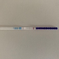 5.6号排卵，5.7号婆婆来了，然后两个人每天吵架不断，没想到自己好像怀孕了，也不知道生气会不会影响宝...