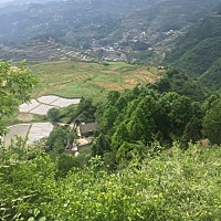 5月9号排卵期，今天测了是白板，还有希望吗？我真的想要个孩子