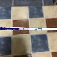 今天好激动