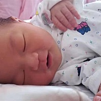 有没有八月份出生的猪宝宝？一起来聊聊娃。