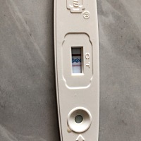 第一次没经验 大家帮看看是怀了吗