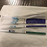 上个星期测完强阳去医院也检查了、确定了怀孕、到了今天刚好6周突然就见红了、马上去医院抽血照超声、却...