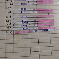 今天达到了高峰排卵日