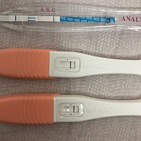 月经推迟2天，图片分别是15 17 19 21测的，6号排卵日，10号左右一直低烧，持续3天好了。目前还没去医院...