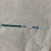 晚上又试了一下。明天去抽血看一下希望真的怀孕了