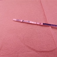 11号排卵，今天第十一天，这么清晰，正常吗？