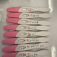 双高龄备孕二胎第二月喜中！上次例假4月19日。周期30天。今天第33天。悬着心终于放下了。