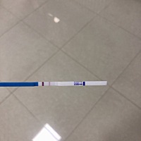 同房第十二天早上~这是怀孕了吗？？？？