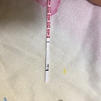 之前空囊流了一个。现在半年了。不知道是不是怀了。好紧张。