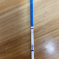 这样是不是怀孕了