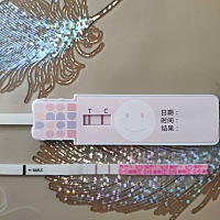 ￼说一下姐妹备孕经历 2019年十月份结婚，十二月打算要孩子，一直很佛系，看美柚上的排卵日同房，也没做...