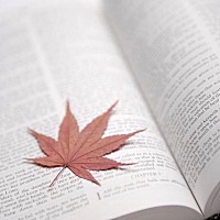 想念你的一切，mama。