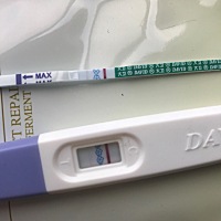 这是怀上了吗？备孕6个月了，希望不是幻觉