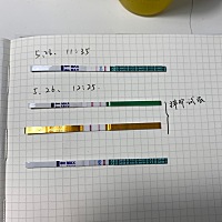 这几天早上和晚上就恶心，肚子轻微姨妈痛，胸前几天很痛，还喜欢放p