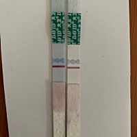 感觉又明显了很多，昨天早上的还不是很明显，今天早上两个感觉已经可以看出来了，也不晓得是不是得，咋...
