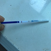 坐等姨嘛了