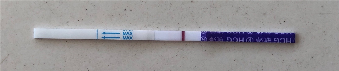 我是不是瞎了？？？