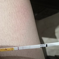 姐妹们来帮我看看，我软件测的26号排卵日，刚才用排卵试纸测出来这样，代表什么意思呢