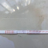 对怀孕这方面什么都不懂，因为和男朋友双方的原因，我们想尽快怀孕，用这个软件计算的是25号到31号是排...