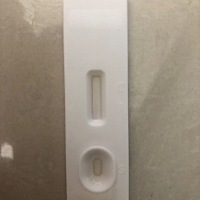 麻烦问一下宝妈 测出来是这样的表示什么意思。