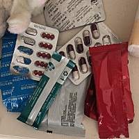 20号打的排卵针，22号查已排卵，现在很紧张，有没有同日期的朋友，聊一聊