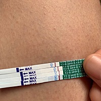 一天比一天加深了。￼是不是怀孕了？