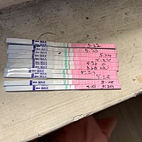 17号来的月经，21号结束的，然后月经一走我就测排卵，为什么测不到强阳呀😢哎