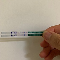 已经53天没来月经