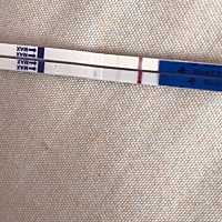 请们谁能告诉我这是不是有了
