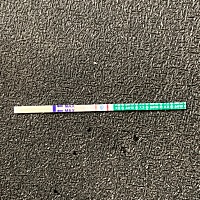 真的怀了吗？真正的备孕第二个月