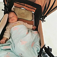 推车里睡也是这样😂