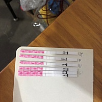 以前排卵都是26/27，上个月2号，这个月还没测到强阳就变淡了，想摔东西，特别是手机，快两年了，受不了...
