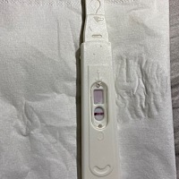 明明已经有大姨妈要来的感觉了，还是忍不住测，结果意料之中的失望😞