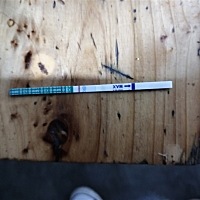 家人们帮我看一下这是不是怀孕了，我流产八个多月了一直备孕不成功，这个月姨妈推迟十一天了，还在没有...