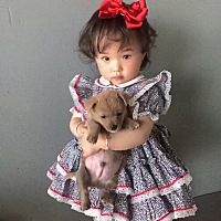生个女儿蛮好的 每天都粘着你甩都甩不掉 🐣🐣🧚🏻‍♀️🧚🏻‍♀️ 壹壹小可爱