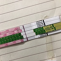 我排卵期25。 26号  最近放很多屁。￼￼