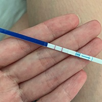 上个月五月四号来的月经，今天早上测的二条线