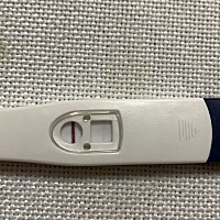 来来来，都来围观下是不是真的有了，停胎一次流产一次，已经很累很累了