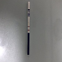 排卵15天了，越来越深了，有五周了，除了胸涨，都没其他反应的，孕妈们都是多少天有反应啊，我有39天了