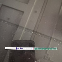 软件预测的排卵日26号，前后安排了四次，刚测的白板，估计没戏了，三年前药流一次，现在要二胎感觉好不...