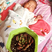 让红宝石陪伊伊一起茁壮成长吧