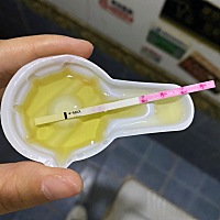 这是怀孕了吗？