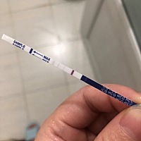 今年37岁了，头胎，前年胎停过一次，26、27号测试强阳，今天测了就是这样，应该是中了吧！就上个月开始...