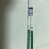 24号排卵，大卫今天早上晨尿测的，另一个妮雪儿是刚才测的，妮雪儿的感觉比大卫明显很多啊。